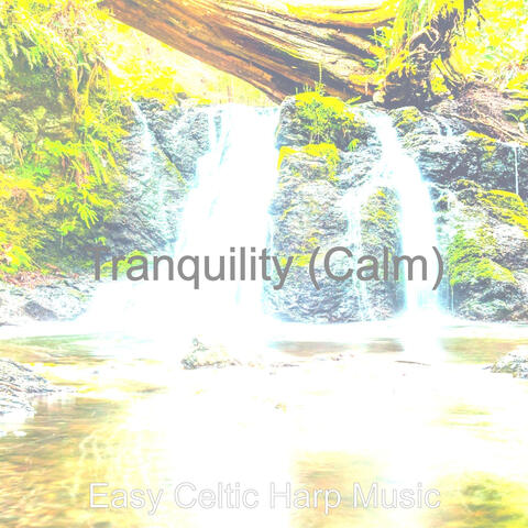 Tranquility (Calm)