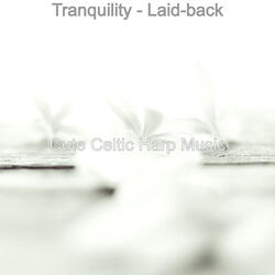 Ambience (Rejuvenating Experiences)