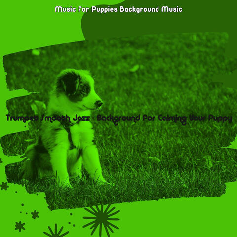Trumpet Smooth Jazz - Background for Calming Your Puppy