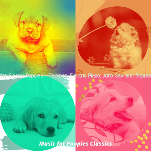 Music for Sleepy Puppies - Trumpet, Electric Piano, Alto Sax and Soprano Sax