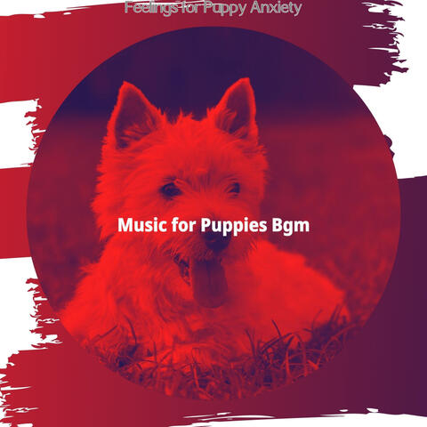 Feelings for Puppy Anxiety