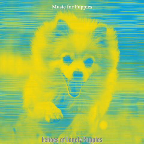Echoes of Lonely Puppies