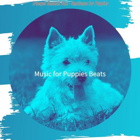 Trumpet Smooth Jazz - Ambiance for Puppies