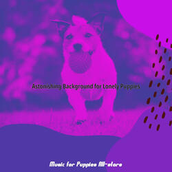 Groovy Backdrops for Relaxing Pups