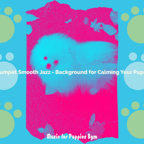 Trumpet Smooth Jazz - Background for Calming Your Puppy