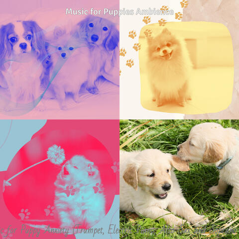 Music for Puppy Anxiety (Trumpet, Electric Piano, Alto Sax and Soprano Sax)