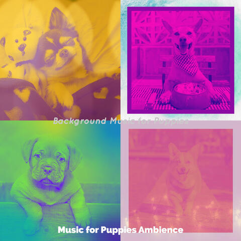 Background Music for Puppies