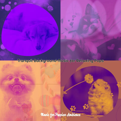 Tranquil Background Music for Relaxing Pups