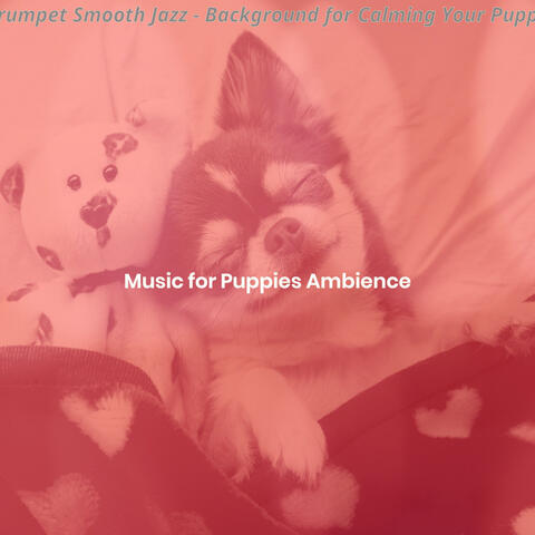 Trumpet Smooth Jazz - Background for Calming Your Puppy