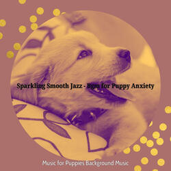 Spacious Music for Calming Your Puppy