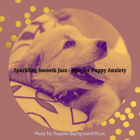 Sparkling Smooth Jazz - Bgm for Puppy Anxiety
