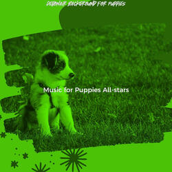 Unique Music for Lonely Puppies