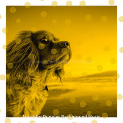 Casual Ambience for Calming Your Puppy