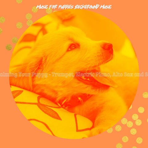 Music for Calming Your Puppy - Trumpet, Electric Piano, Alto Sax and Soprano Sax