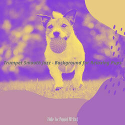 Opulent Smooth Jazz Saxophone - Vibe for Calming Your Puppy