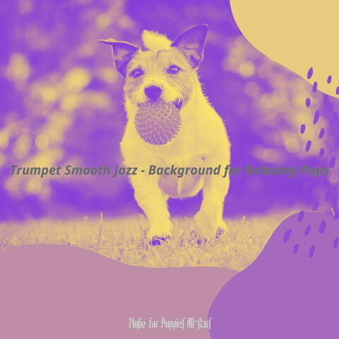 Trumpet Smooth Jazz - Background for Relaxing Pups
