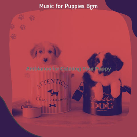 Ambiance for Calming Your Puppy