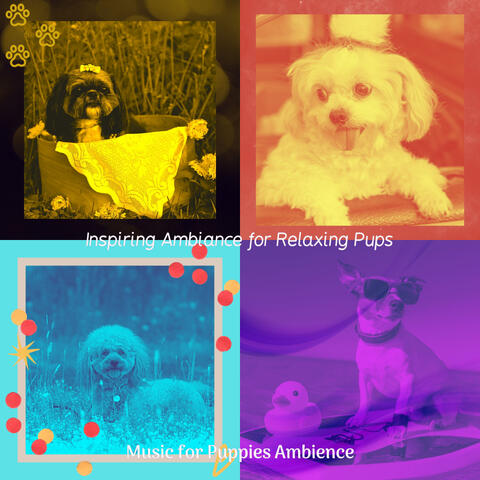 Inspiring Ambiance for Relaxing Pups