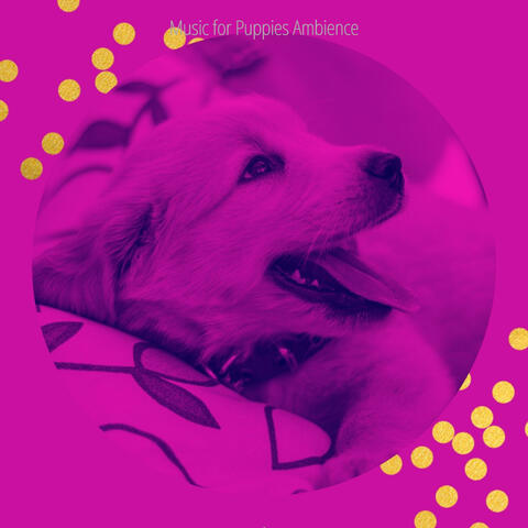 Music for Puppies (Trumpet, Electric Piano, Alto Sax and Soprano Sax)