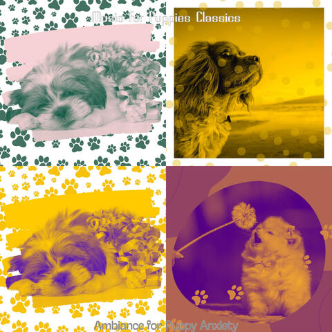 Ambiance for Puppy Anxiety