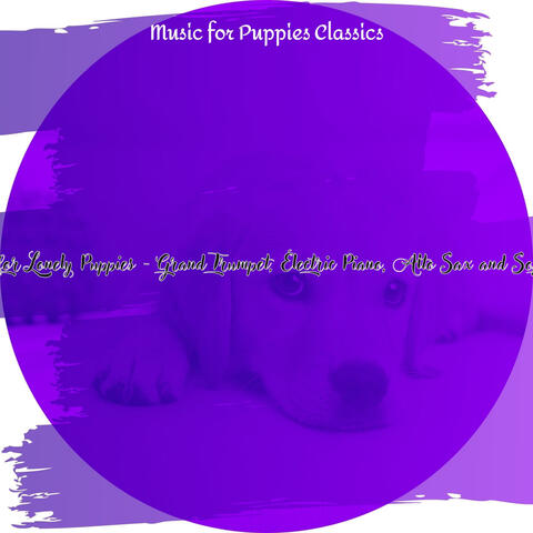 Backdrop for Lonely Puppies - Grand Trumpet, Electric Piano, Alto Sax and Soprano Sax