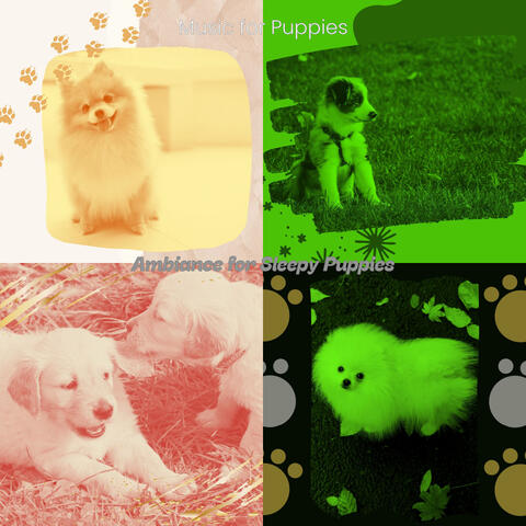 Ambiance for Sleepy Puppies