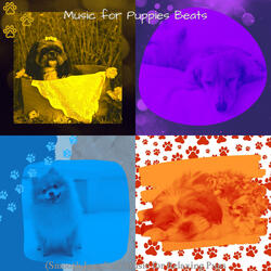 Lonely Backdrops for Lonely Puppies