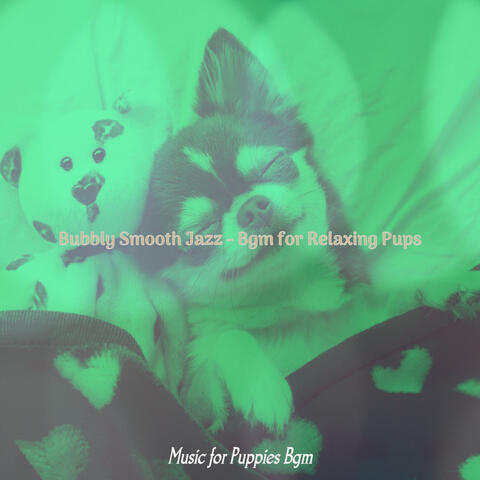Bubbly Smooth Jazz - Bgm for Relaxing Pups