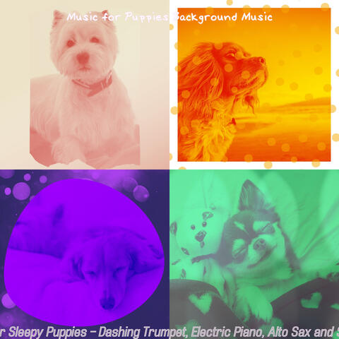 Backdrop for Sleepy Puppies - Dashing Trumpet, Electric Piano, Alto Sax and Soprano Sax