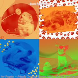 Smooth Jazz Soundtrack for Puppy Anxiety