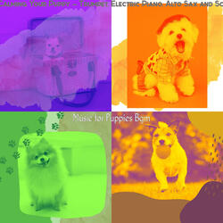 Smooth Jazz Soundtrack for Relaxing Pups
