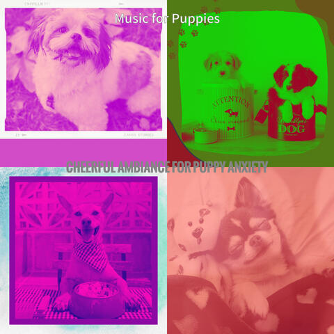 Cheerful Ambiance for Puppy Anxiety