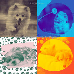 Excellent Moods for Puppy Anxiety