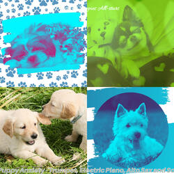 Energetic Moods for Sleepy Puppies