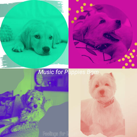 Feelings for Lonely Puppies