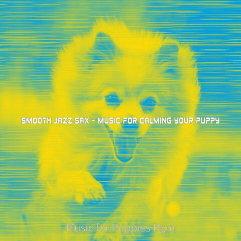 Smooth Jazz Sax - Music for Calming Your Puppy