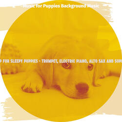 Smooth Jazz Soundtrack for Lonely Puppies