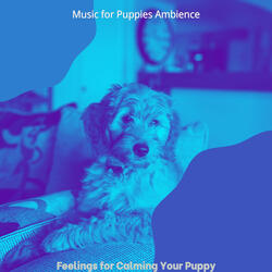 Luxurious Backdrops for Calming Your Puppy