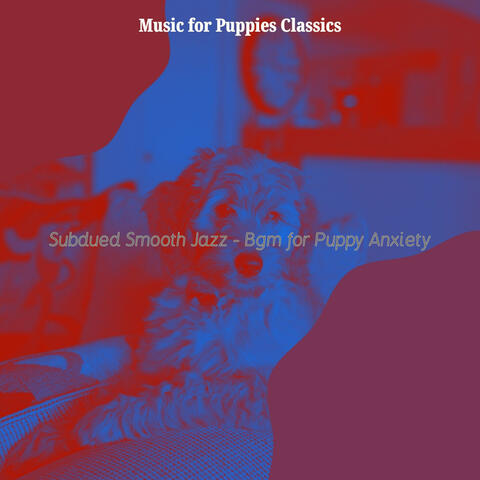 Subdued Smooth Jazz - Bgm for Puppy Anxiety