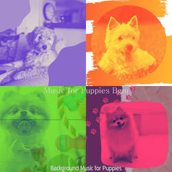 Sparkling Music for Calming Your Puppy