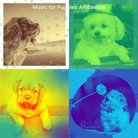 Smooth Jazz - Bgm for Sleepy Puppies