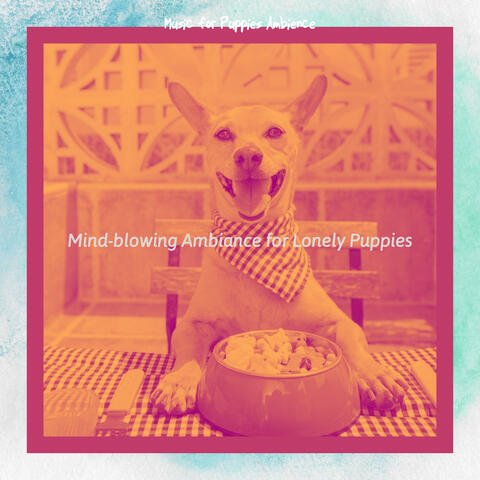 Mind-blowing Ambiance for Lonely Puppies