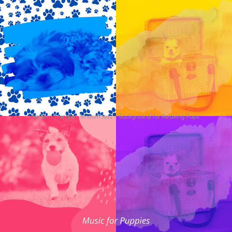 Modern Trumpet Smooth Jazz - Background for Relaxing Pups