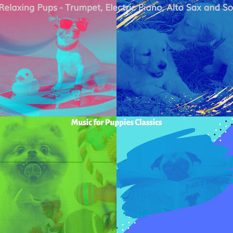 Music for Relaxing Pups - Trumpet, Electric Piano, Alto Sax and Soprano Sax