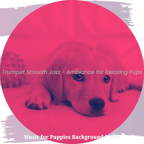 Trumpet Smooth Jazz - Ambiance for Relaxing Pups