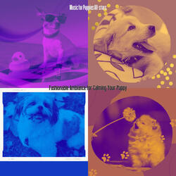 Smooth Moods for Calming Your Puppy