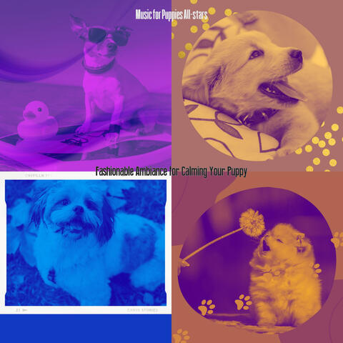 Fashionable Ambiance for Calming Your Puppy