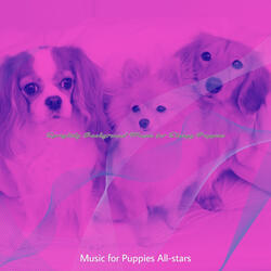 Hypnotic Smooth Jazz Saxophone - Vibe for Relaxing Pups