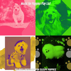 Serene Smooth Jazz Saxophone - Vibe for Relaxing Pups