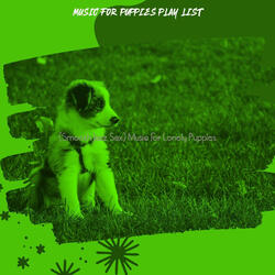 Wondrous Ambiance for Lonely Puppies